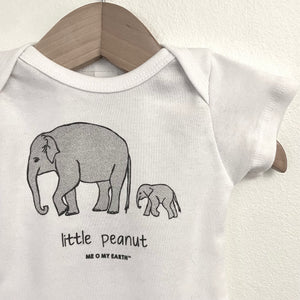 Elephant - Little Peanut