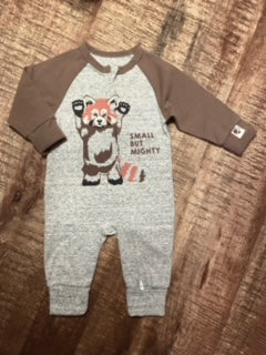 Red Panda Small but Mighty Coverall
